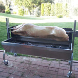 BBQ Charcoal Pig Spit Roaster